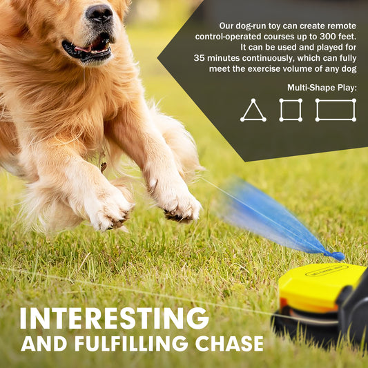 Pet Chase Toys Home Training Supplies