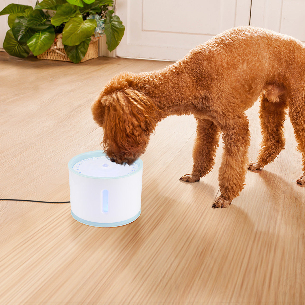 Automatic Pet Cat Water Fountain with LED Light